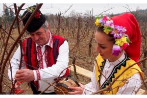 In Bulgaria February 14th is the Day of Winegrowers and Winemakers. In Bulgaria February 14th is the Day of Winegrowers and Winemakers.